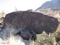 Petroglyphs at Alamo Mountain